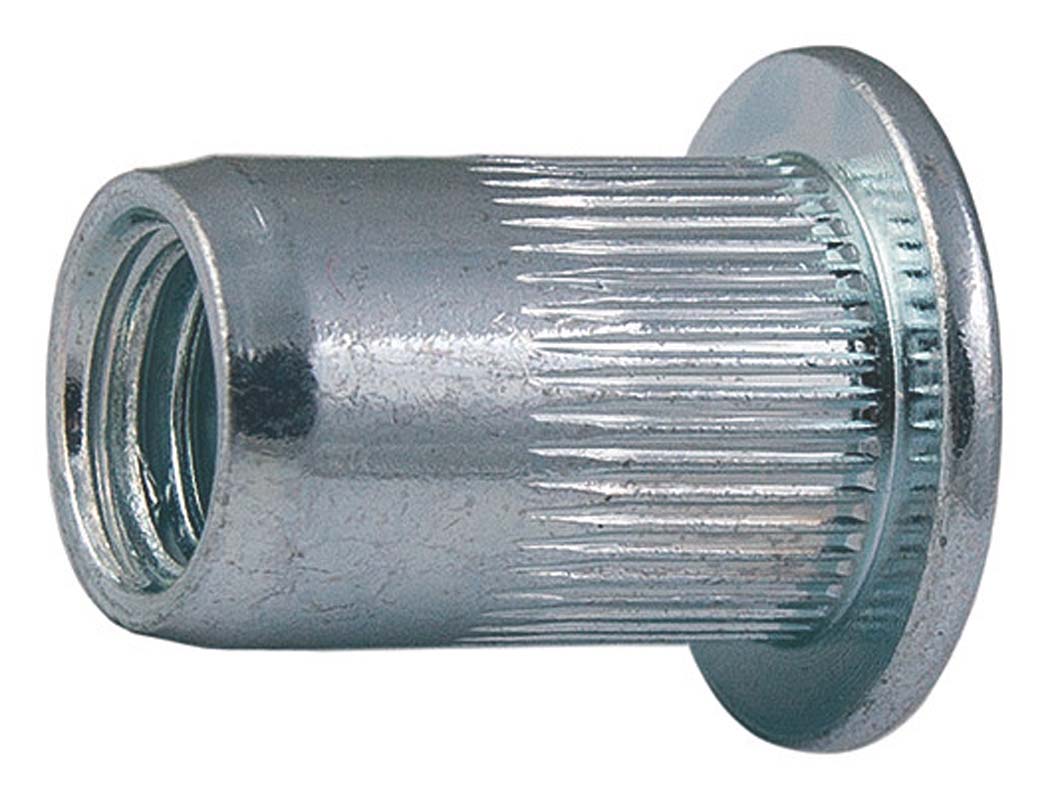 Blindklinkmoer cilinderkop, Verzinkt