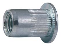 Blindklinkmoer cilinderkop Verzinkt