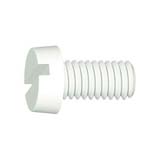 Cilinderschroef zaaggleuf Polyamide 6.6