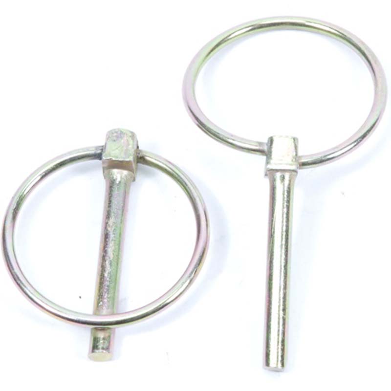 Verende Borgpen, Verzinkt